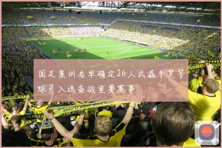 国足集训名单确定26人武磊李昊等球员入选备战重要赛事