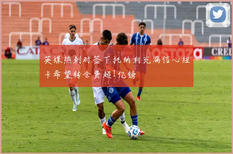 英媒热刺对签下托纳利充满信心纽卡希望转会费超1亿镑