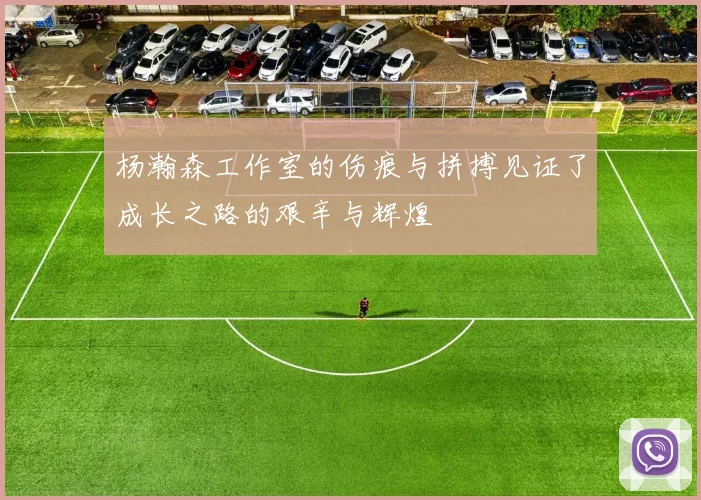 杨瀚森工作室的伤痕与拼搏见证了成长之路的艰辛与辉煌